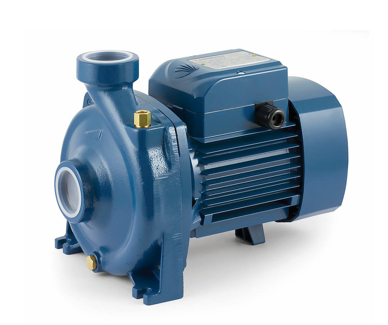 PEDROLLO Electrische Waterpomp Kuldipsingh