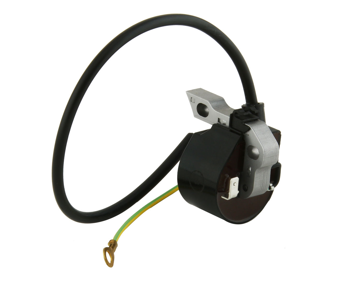 STIHL Ignition Module D ( Fs160-280,Ms250 ) | Kuldipsingh