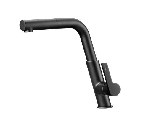 Afbeeldingen van DEANTE Keukenkraan, met uittrekbare uitloop