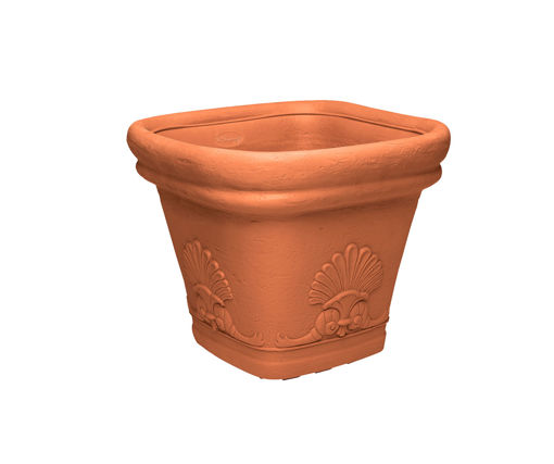 Afbeeldingen van DIMARTINO Zeus