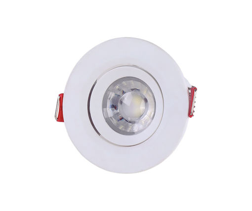 Afbeeldingen van TRAMONTINA Ronde Downlight Gespot