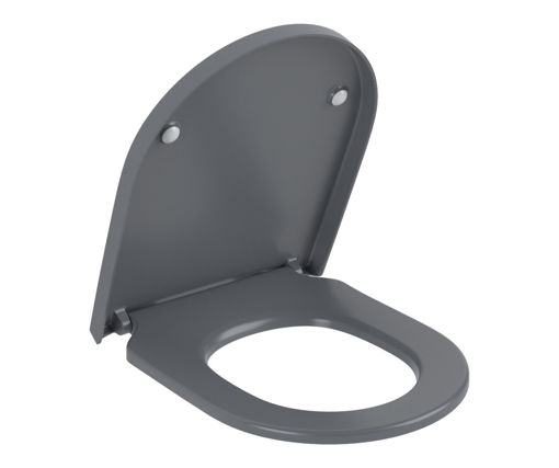 Afbeeldingen van VILLEROY & BOCH WC bril