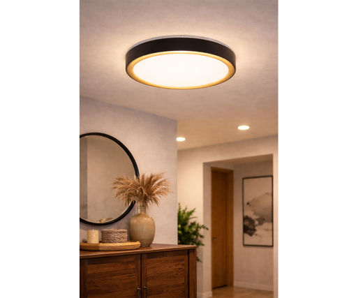 Afbeeldingen van HOME DELIGHT LED Opbouw Plafondlamp