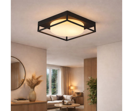 Afbeeldingen van HOME DELIGHT Opbouw Plafondlamp