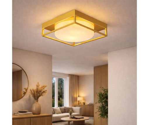 Afbeeldingen van HOME DELIGHT Opbouw Plafondlamp