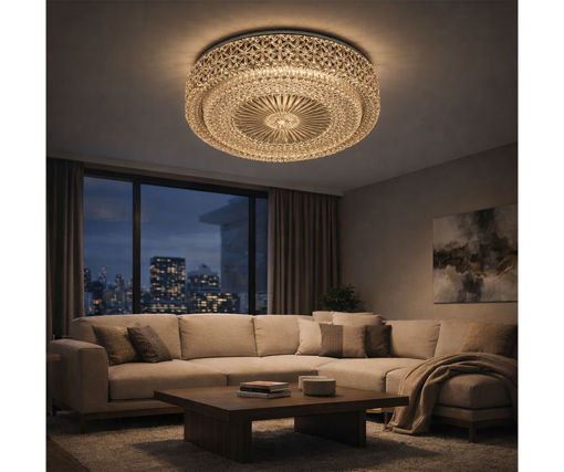 Afbeeldingen van HOME DELIGHT Opbouw Plafondlamp
