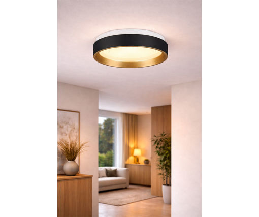 Afbeeldingen van HOME DELIGHT Opbouw Plafondlamp