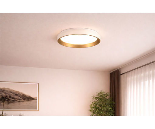 Afbeeldingen van HOME DELIGHT Opbouw Plafondlamp