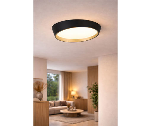 Afbeeldingen van HOME DELIGHT Opbouw Plafondlamp
