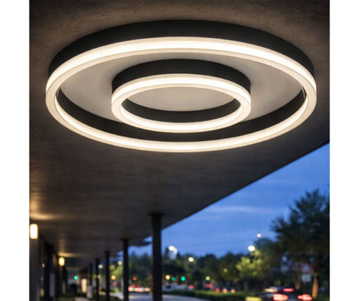 Afbeeldingen van HOME DELIGHT Opbouw Plafondlamp